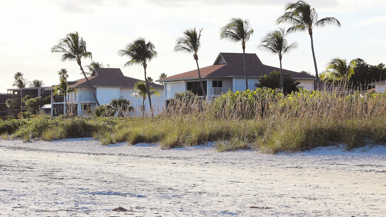 Beach houses with sloped roofs seen from a sandy beach with swaying palm trees and dune grass, no visible people or logos.