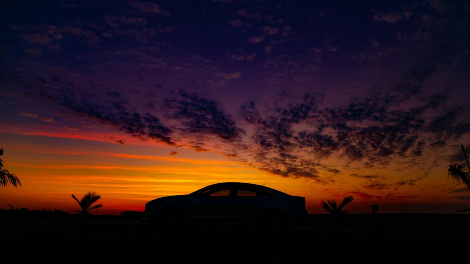 A sedan silhouetted against a sunset with palm trees