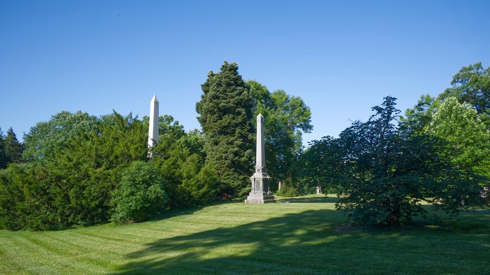 A sunny green lawn with a tall obelisk monument framed by trees.
