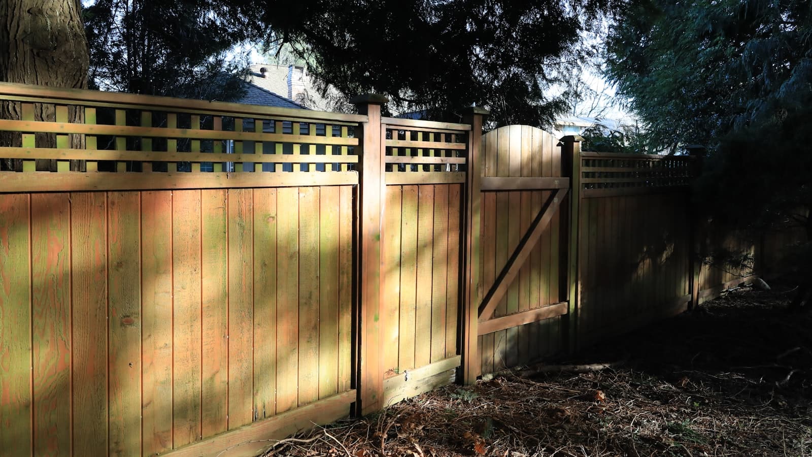 A sunlit wooden privacy fence with a lattice top and gate in a backyard, no people, text, or logos visible.