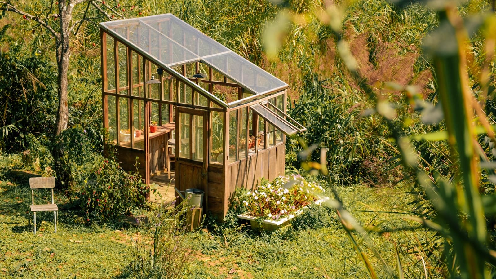 A small wooden-framed backyard greenhouse nestled in a lush garden, empty, no people or text.