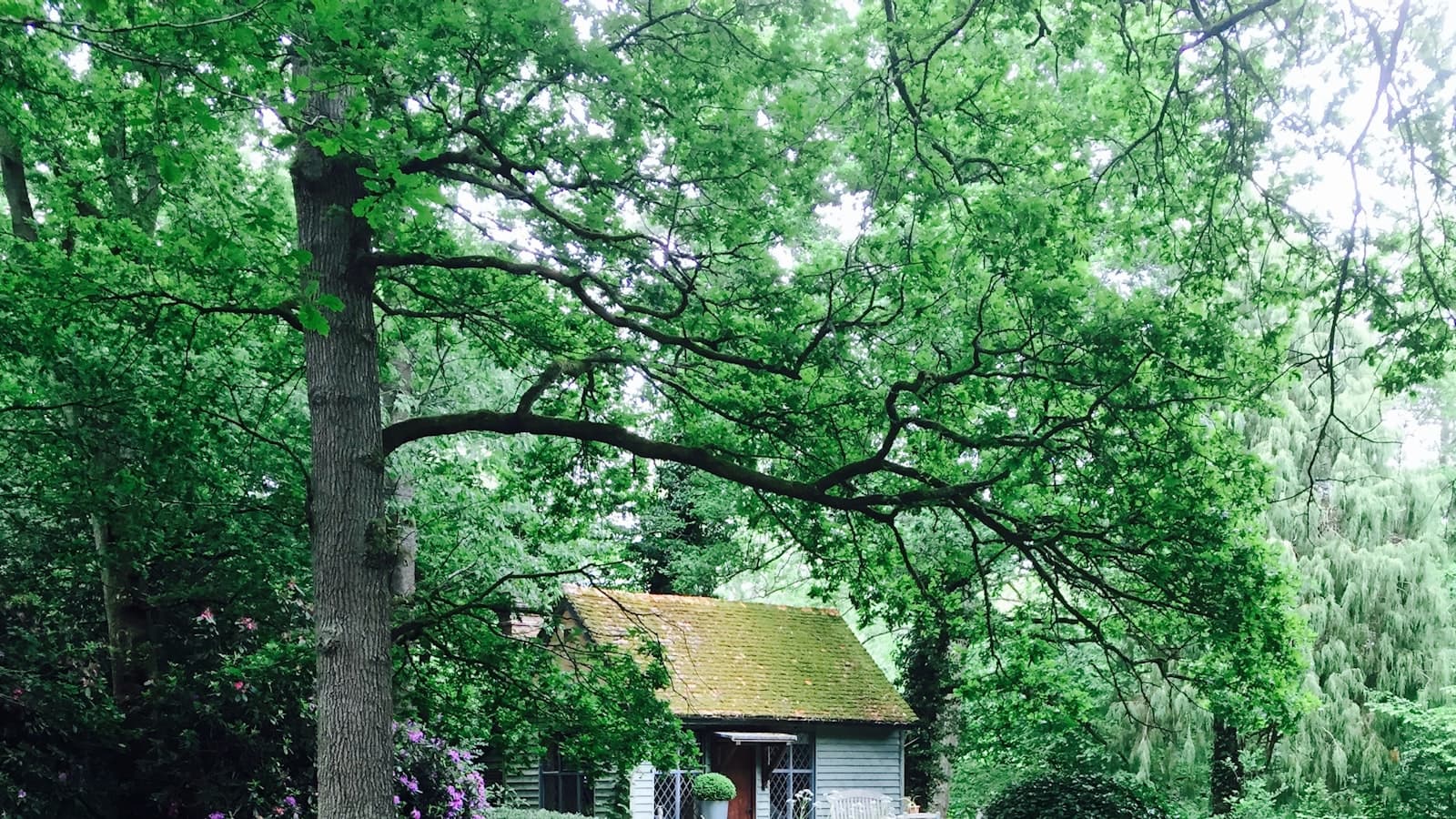 A small blue-gray cottage with a mossy roof tucked among lush green trees at the end of a gravel path, with no people or text.