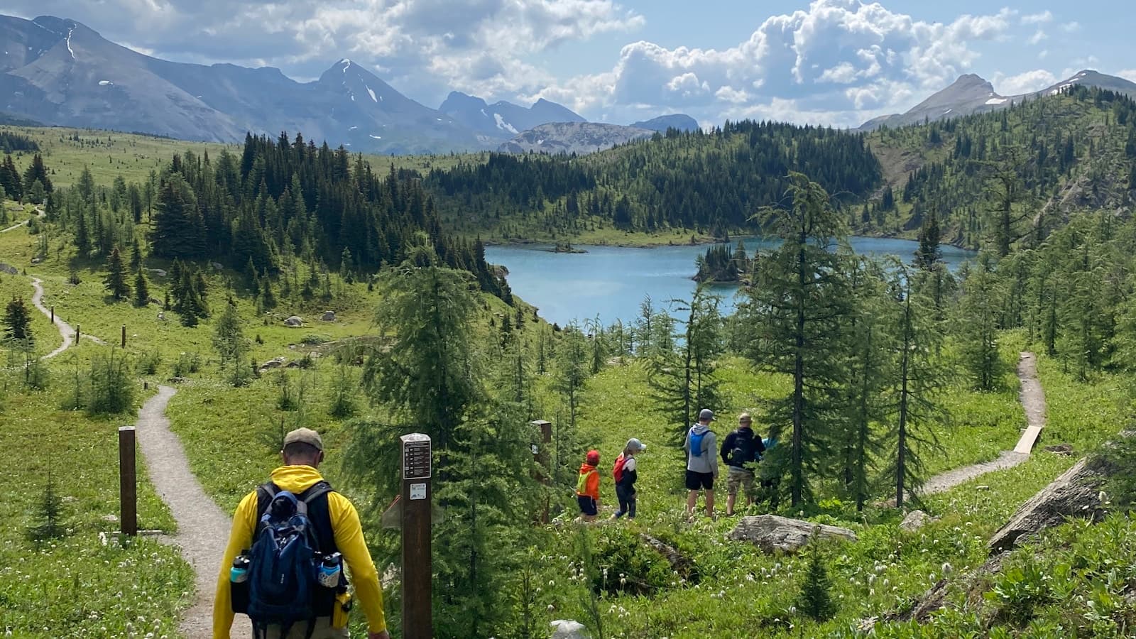 A group of people hiking up a scenic trail.