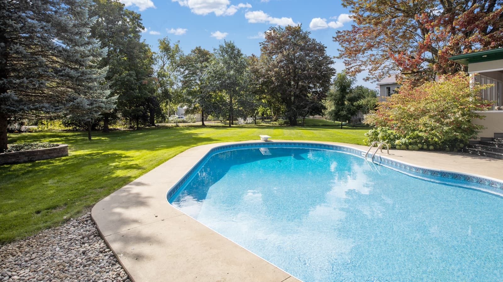 A clean backyard in-ground swimming pool surrounded by lawn and trees on a sunny day, no people or text.