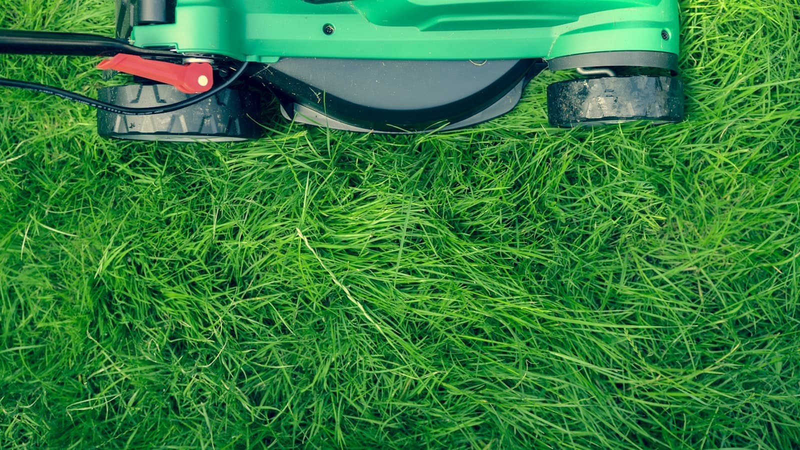 Close-up overhead shot of a green lawnmower cutting green grass, with no readable brand text or people visible.