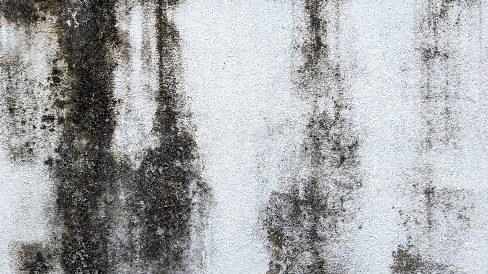 A close-up of a white interior wall streaked with dark black mold growth, with no people, text, or logos visible.