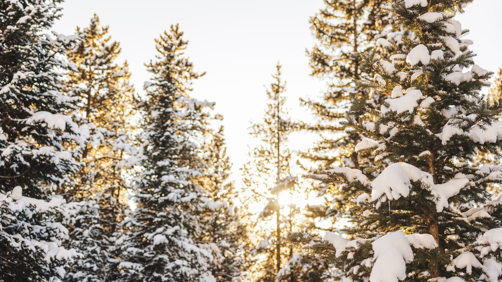 A skier on a sunny snowy slope with mountains in the background.