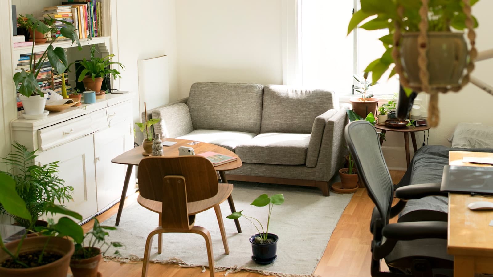 A cozy sitting room with a gray loveseat, wooden chair, bookshelf, and plants, evoking a counseling space; no people or legible text.