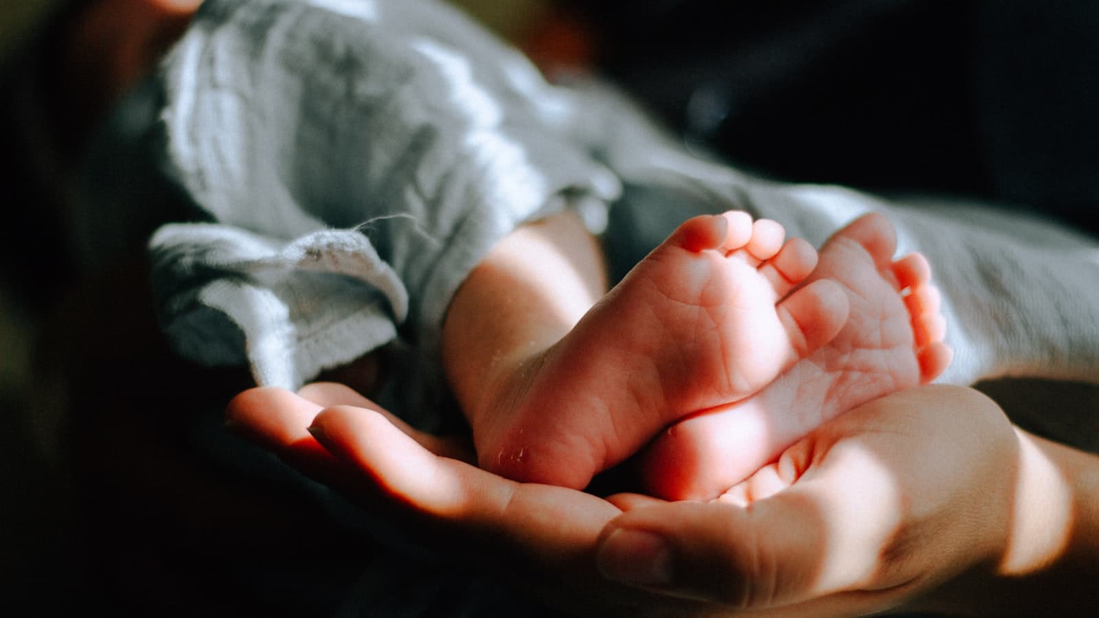 A parent's hands cradling a newborn baby's bare feet, wrapped in a soft blanket, with no faces visible.