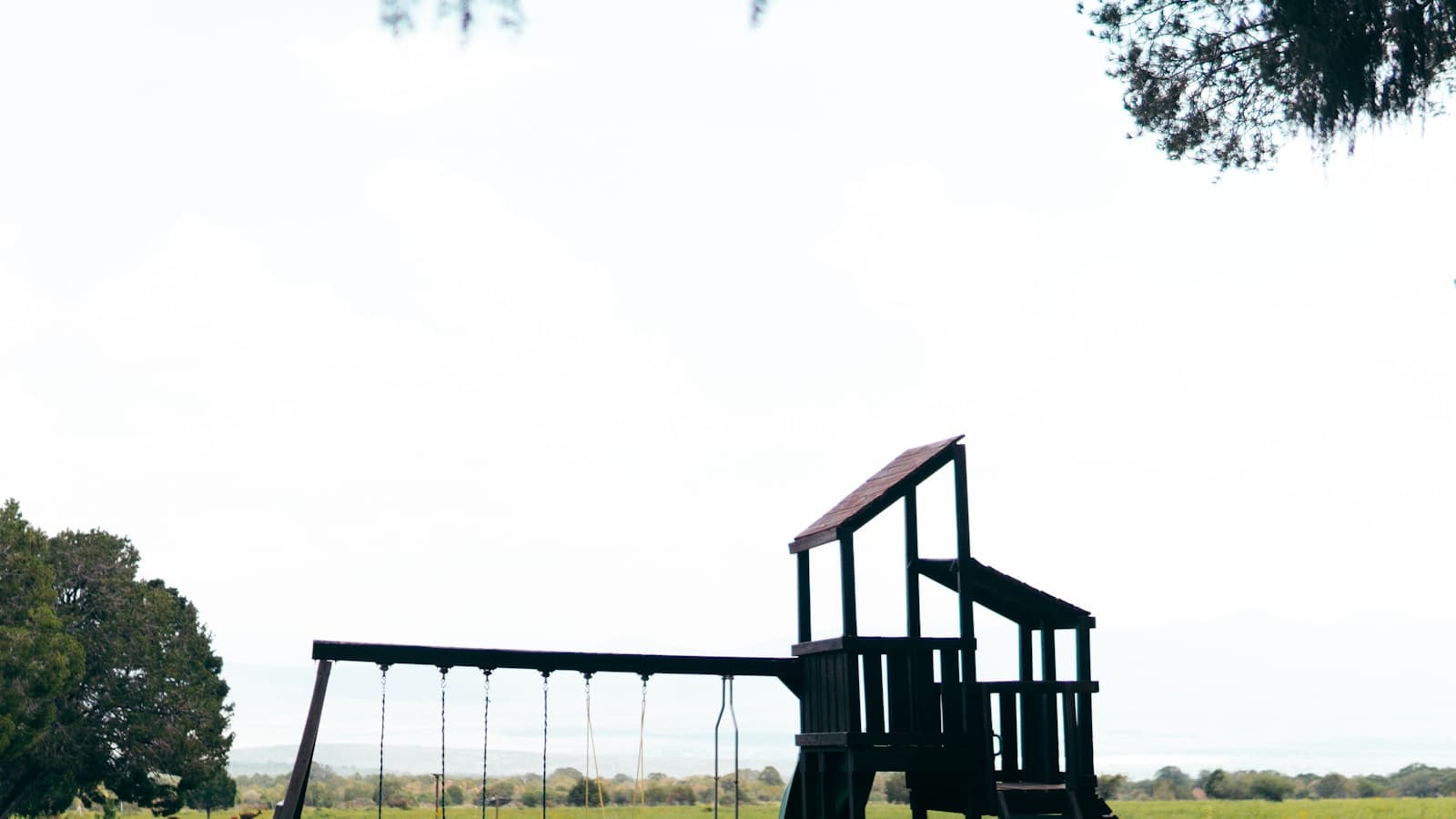 A wooden playground structure with swings and a slide in an open grassy backyard.