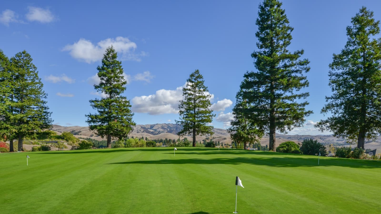 A manicured golf putting green with a flag, pine trees, and rolling hills in the background, with no people, text, or logos.