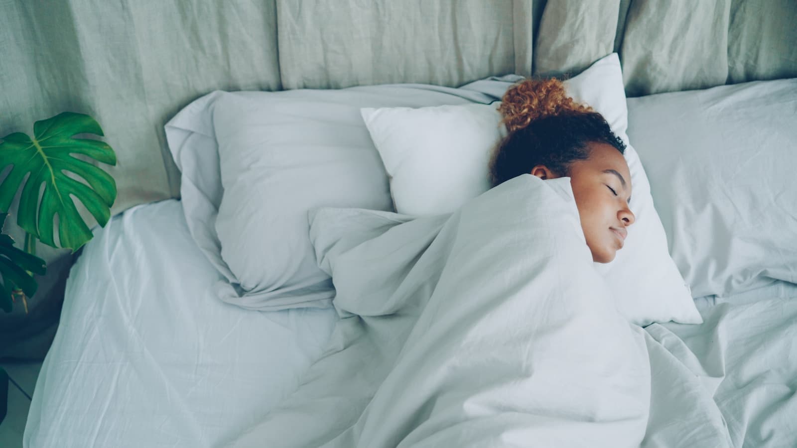 A person sleeping peacefully under light bedding next to a houseplant, face partly visible and relaxed.