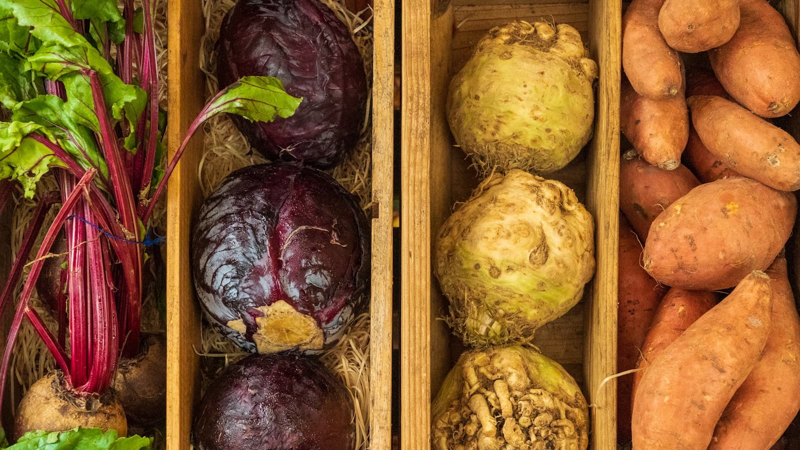 A wooden box overflowing with freshly harvested root vegetables.