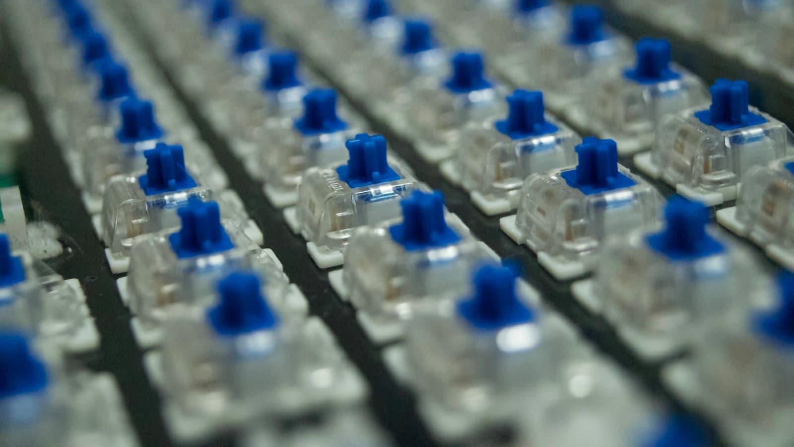 Macro shot of rows of blue mechanical switches with keycaps removed.