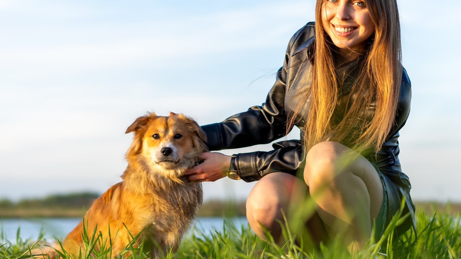 A woman kneeling down at a dog's level outdoors, hands-on training posture.