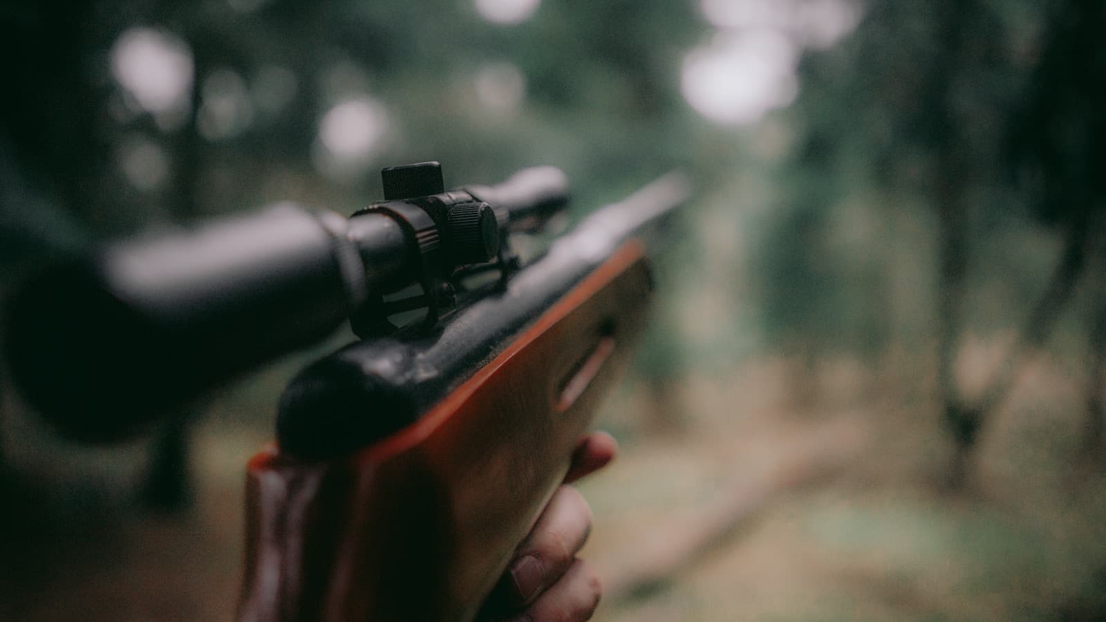 A close-up, selective-focus shot of a hunting rifle.