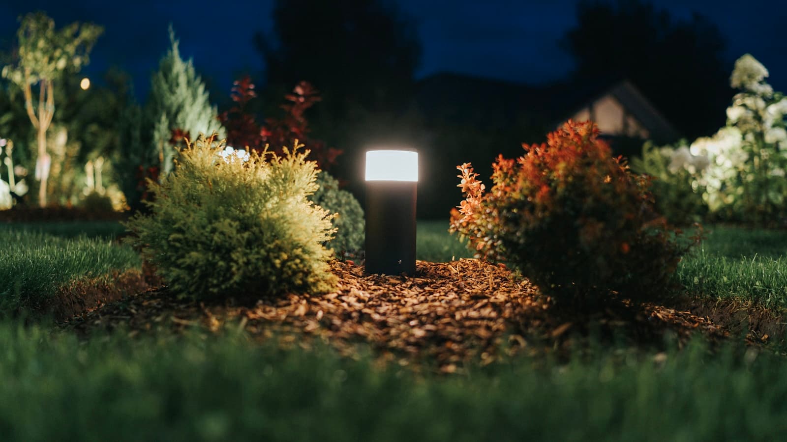 Warm accent lights glowing among garden shrubs at night.