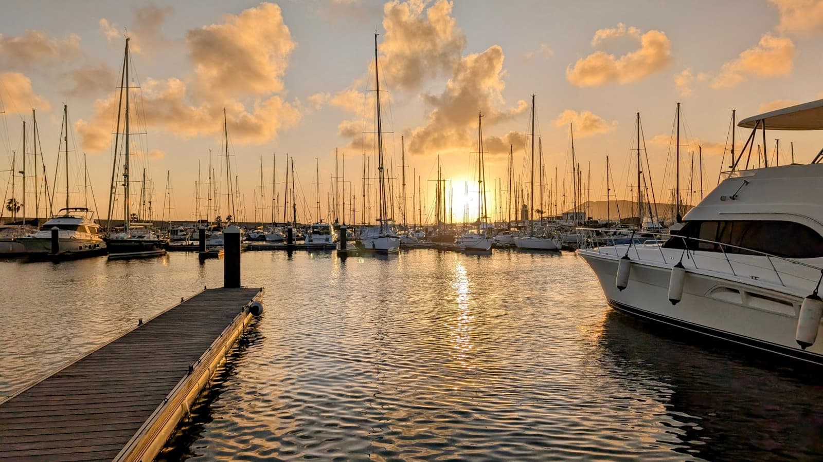 A marina full of docked sailboats and yachts silhouetted at golden sunset.