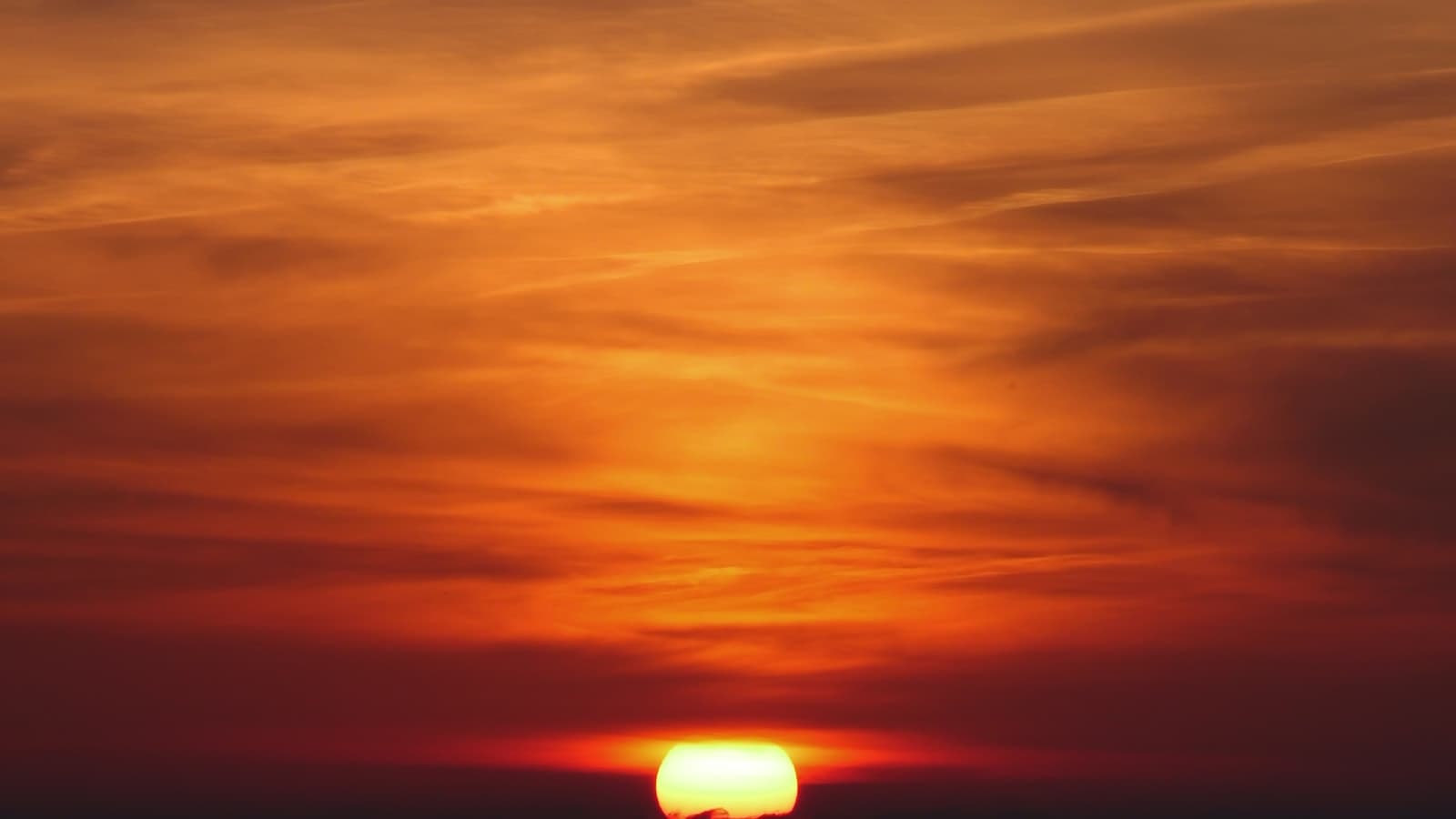 Silhouette of two children sitting together watching a vivid orange sunset over the ocean, no identifiable faces visible.
