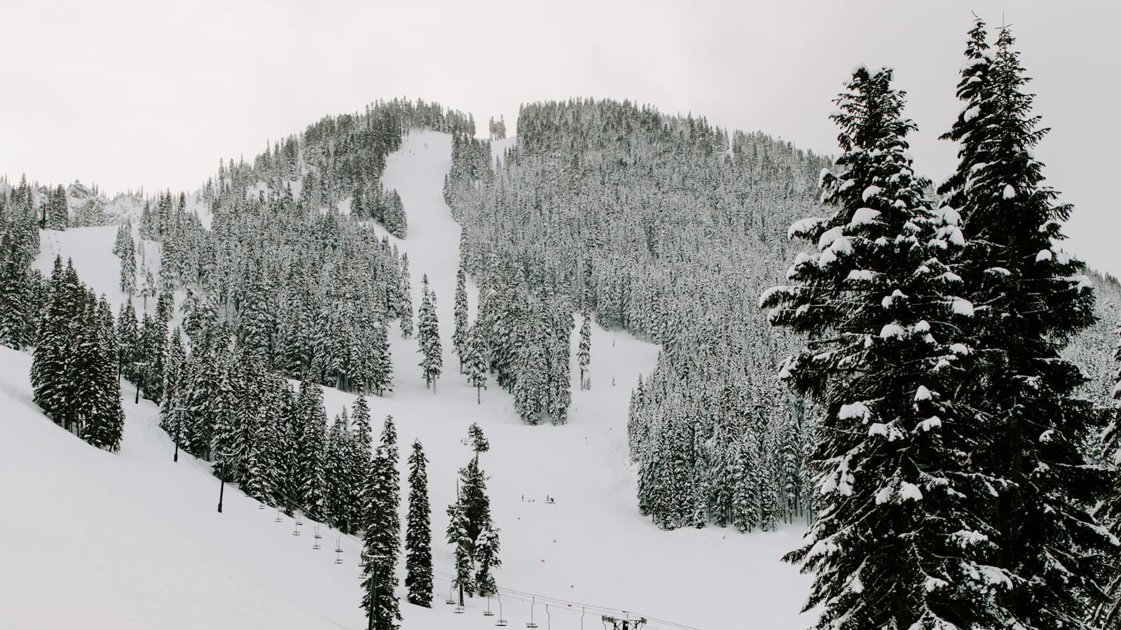 A snow-covered mountain run flanked by tall pine trees, with a ski lift line visible in the foreground and no people close enough to identify.