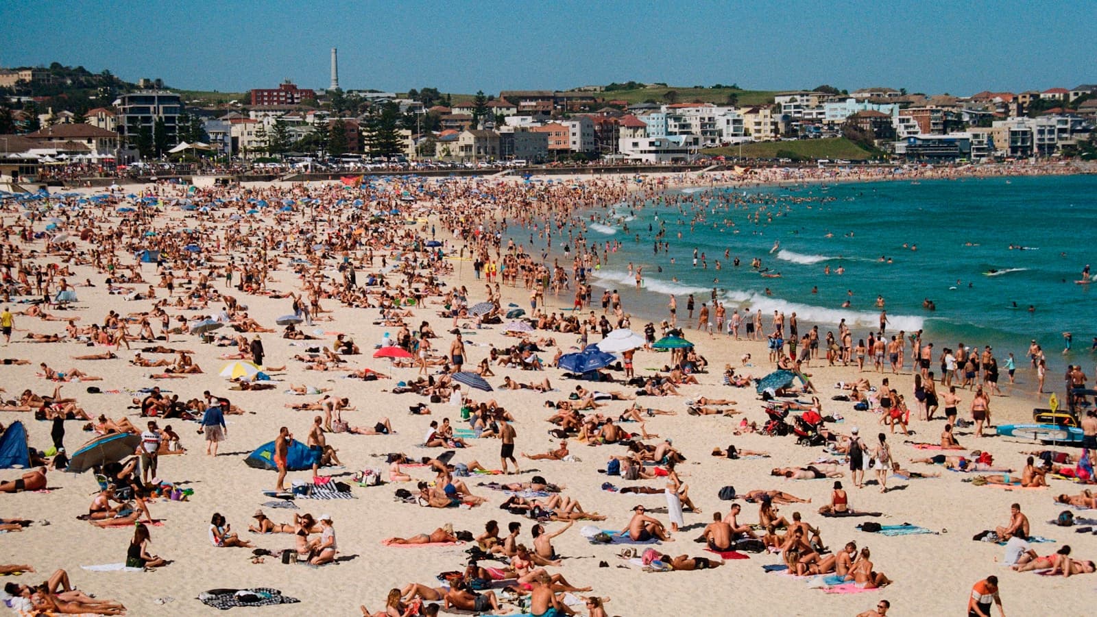 A wide view of a packed sunny beach full of sunbathers and swimmers.