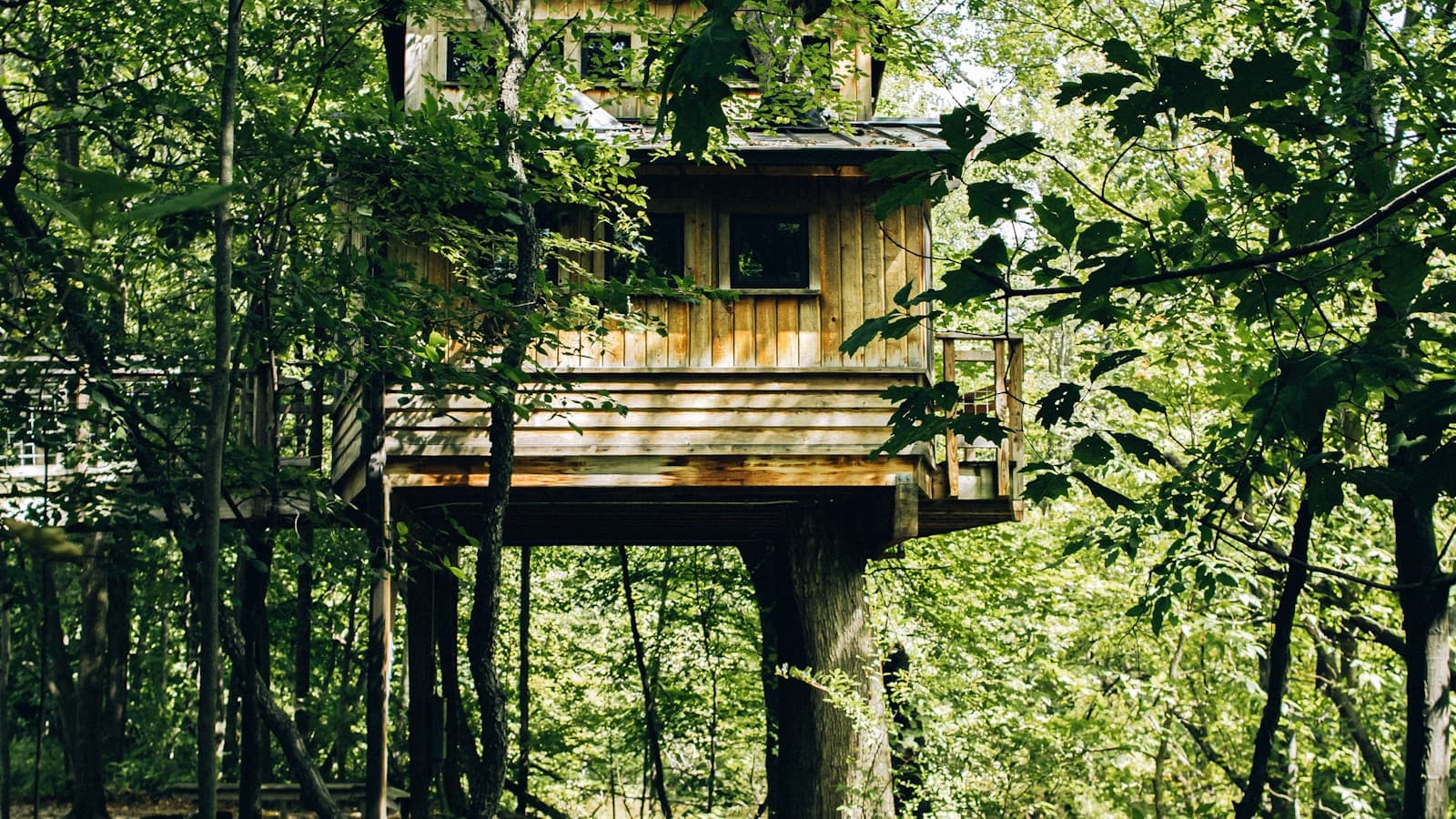 A wooden treehouse with a covered deck built high in the trees of a lush forest.