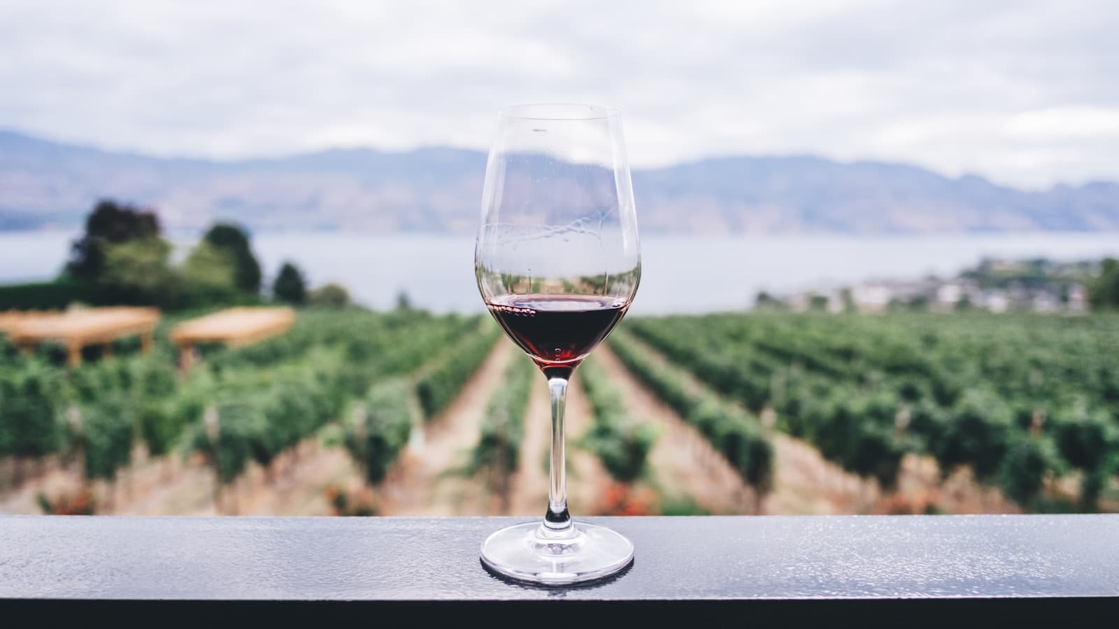 A single wine glass on a railing overlooking a vineyard landscape.