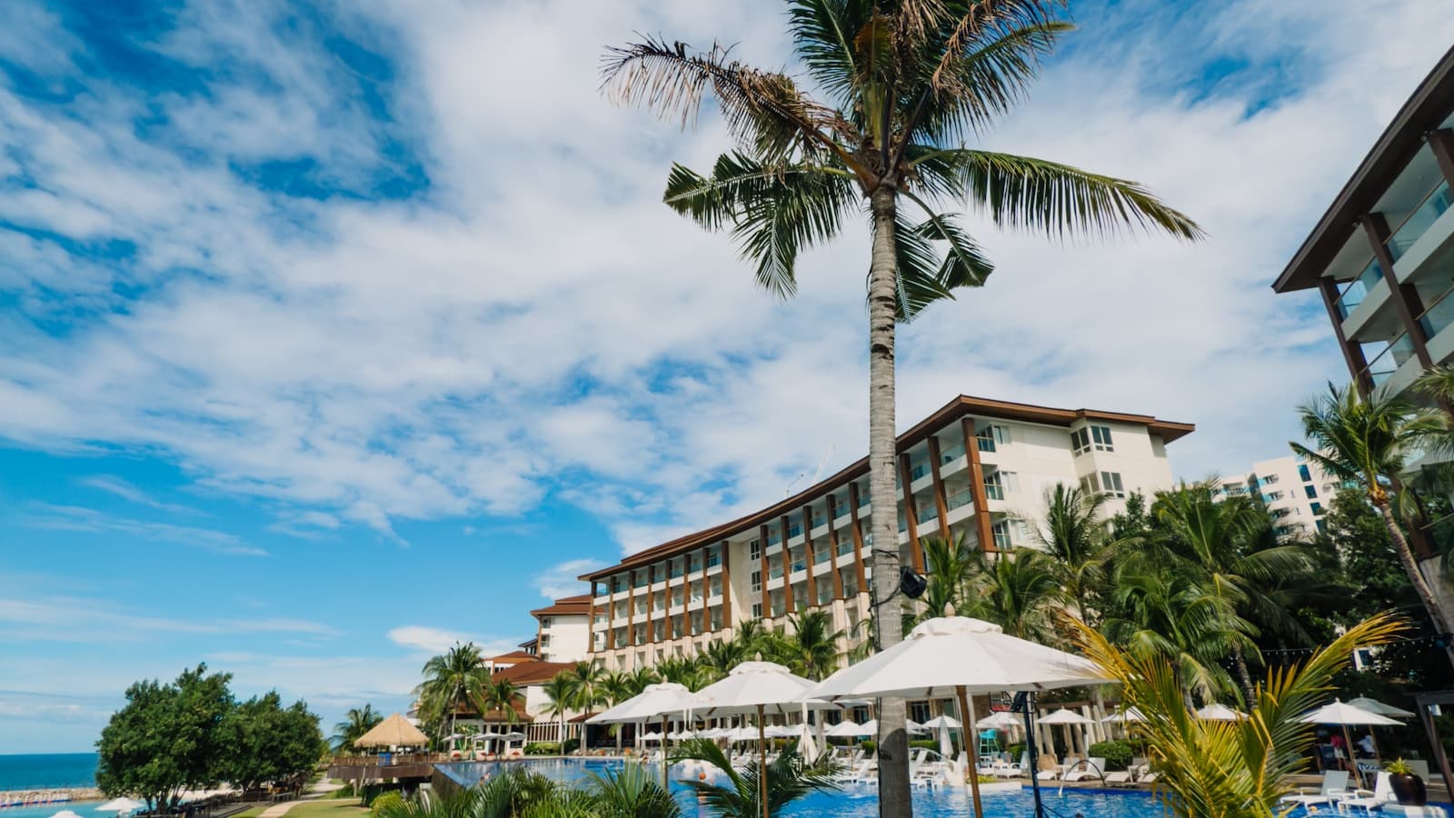 A tropical resort infinity pool with palm trees, umbrellas, and an ocean view.