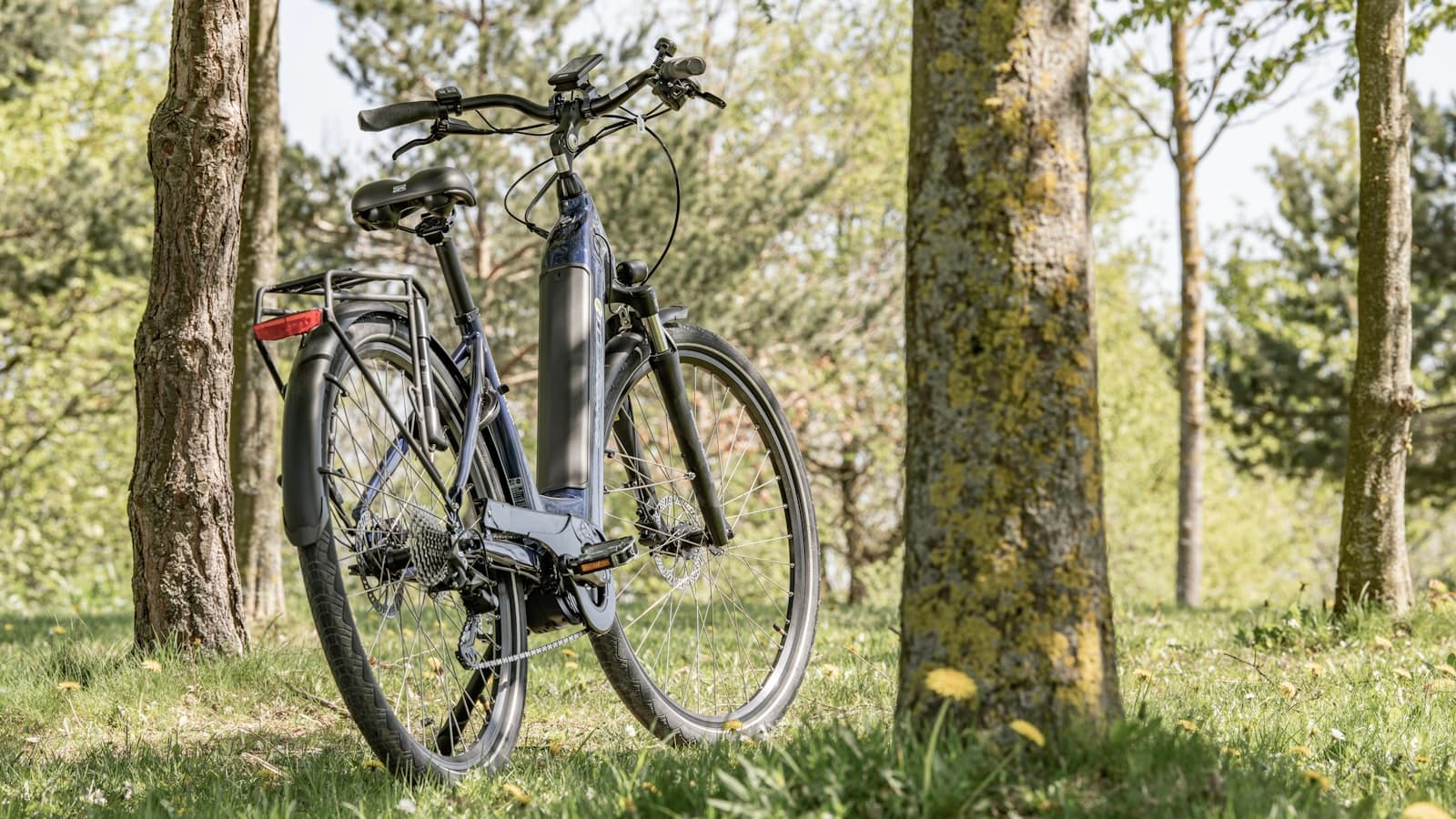A dark electric bike parked between trees in a sunlit forest clearing, with no rider, plate, or legible brand name visible.