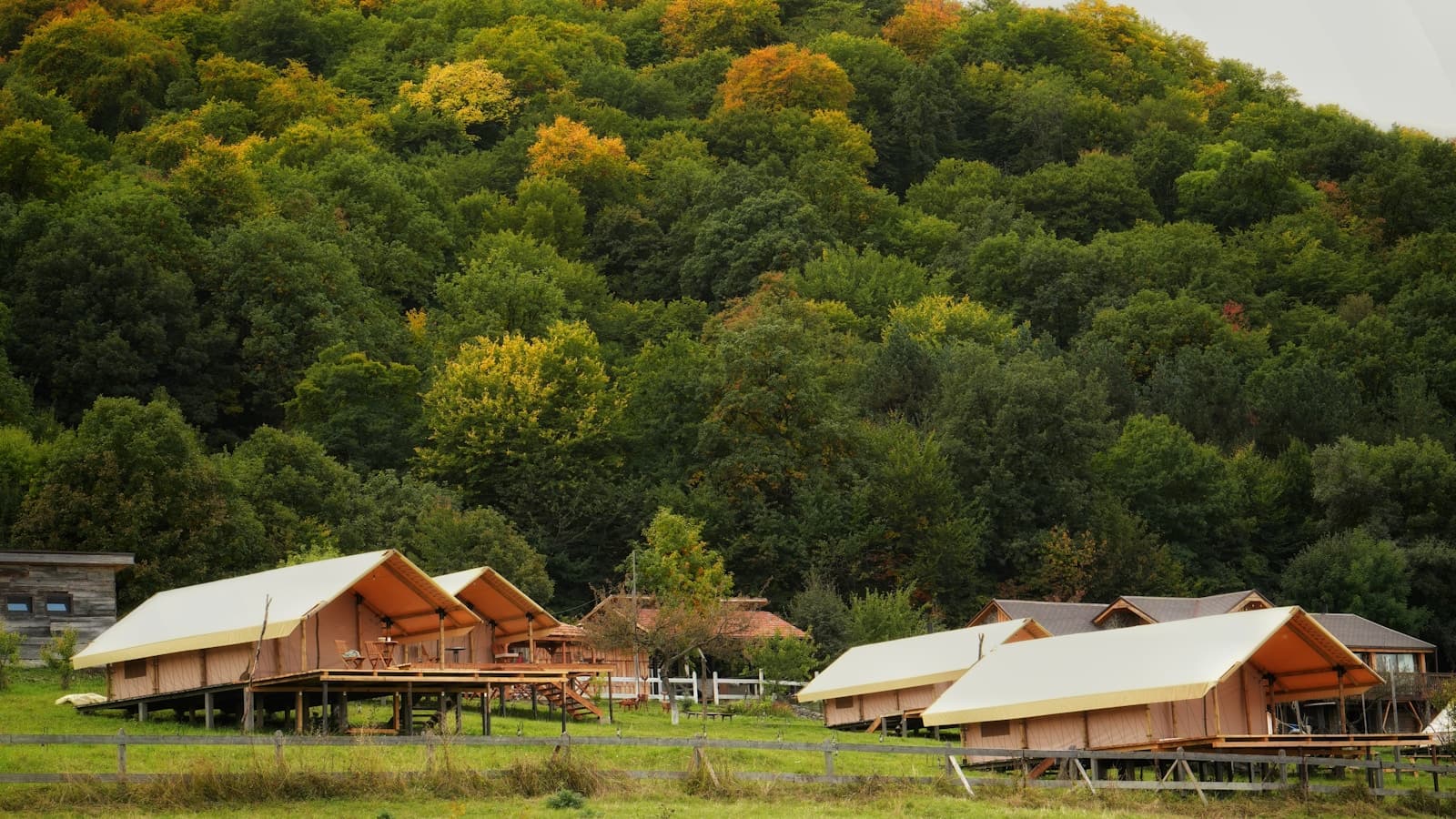 Glamping tents nestled at the base of a forested hill.