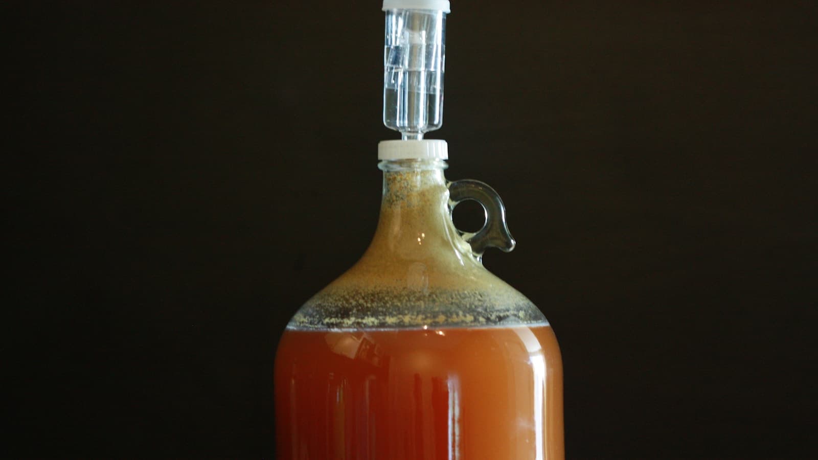 A glass carboy fermenter with a bubbling airlock on top, amber liquid inside.