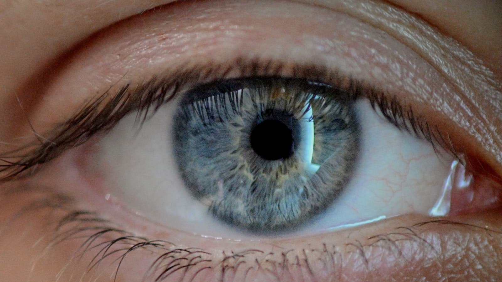 Extreme macro close-up of a single human eye with a blue-gray iris, not an identifiable face, no text or logos.