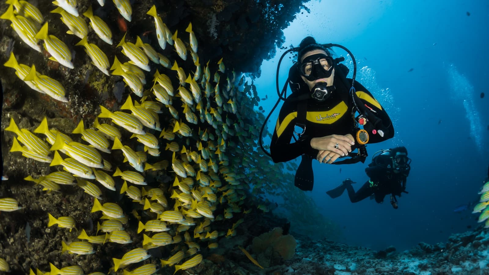 Two divers in full scuba gear over a coral reef with a school of fish.