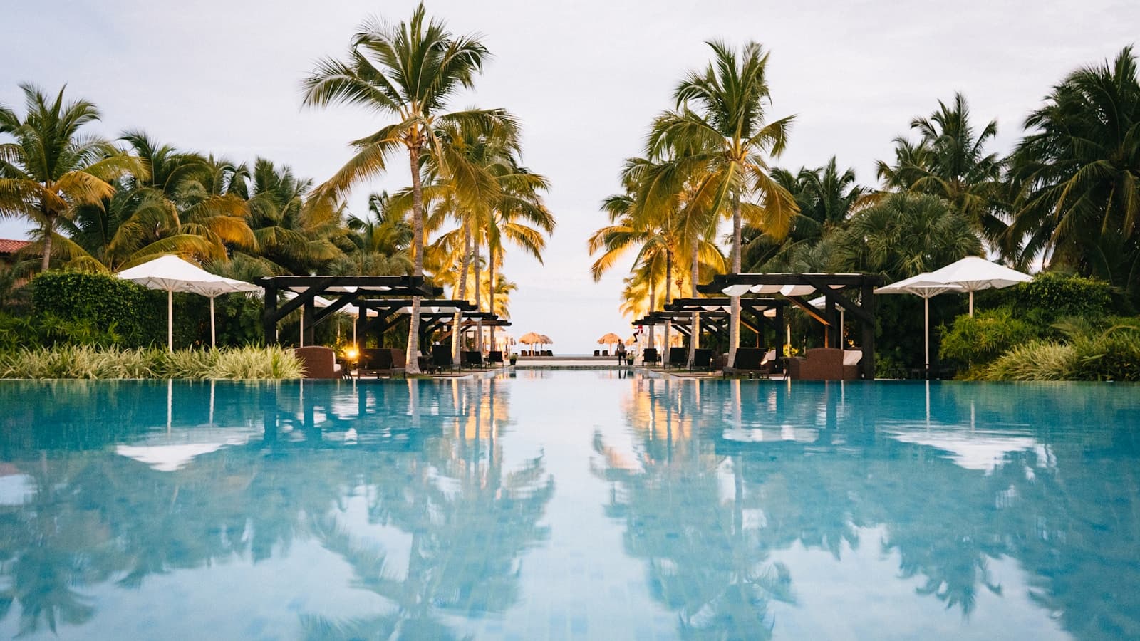 A tropical infinity pool at golden hour framed by palm trees.