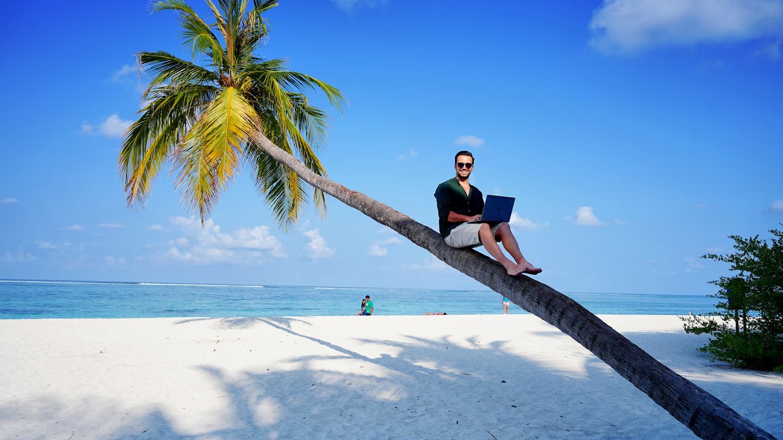 A man working on a laptop while lounging on a palm tree over a tropical beach.