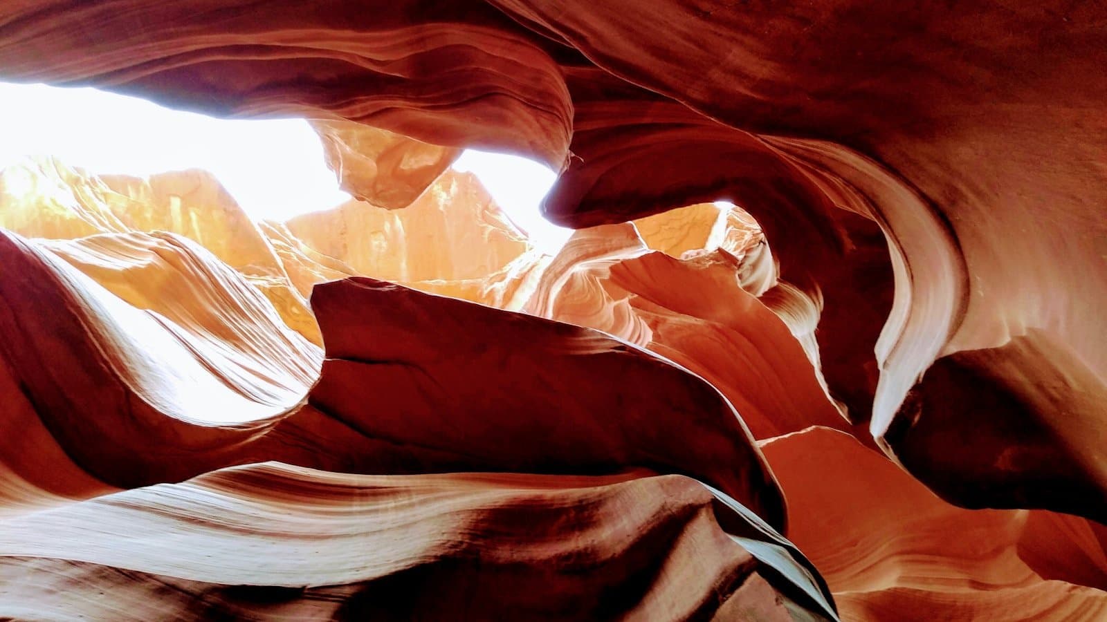 Looking up through the glowing red-orange sandstone walls of a slot canyon in Arizona.