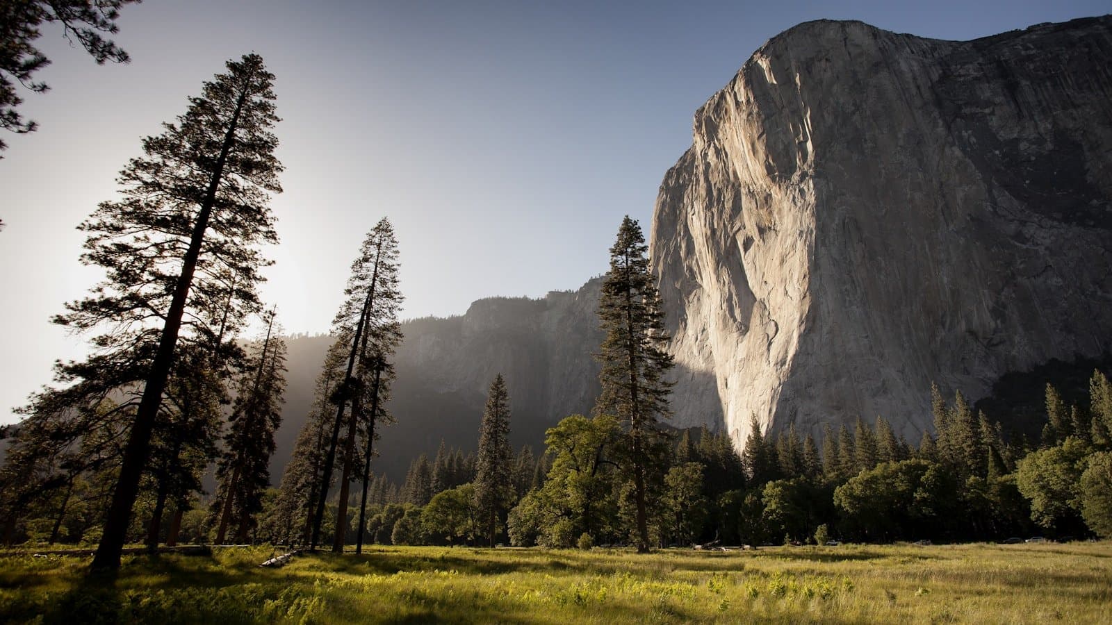 El Capitan's granite cliff face rising above the pine-forested floor of Yosemite Valley in golden-hour light.