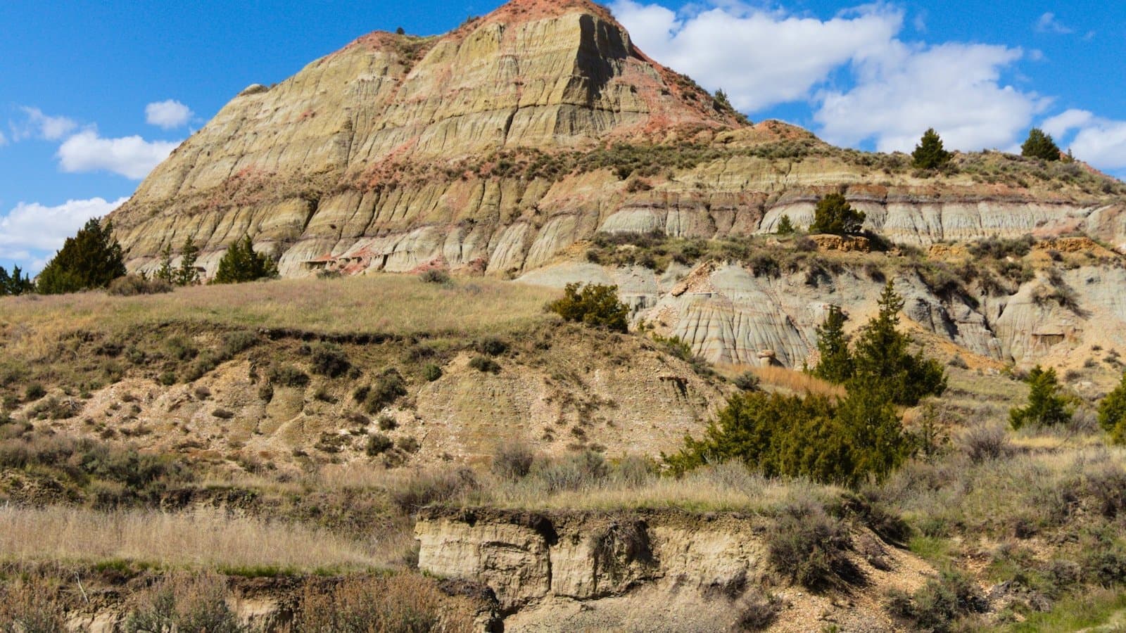 A striped badlands butte rising over prairie grass and scrubland inside Theodore Roosevelt National Park under a blue sky with clouds.