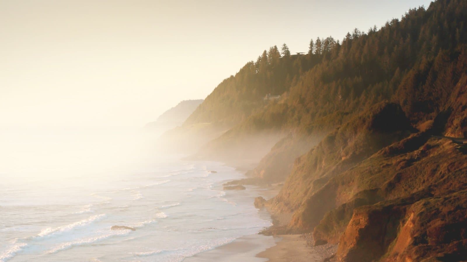 Misty, forested cliffs meeting a sandy beach along the Oregon coast near Florence at golden hour.