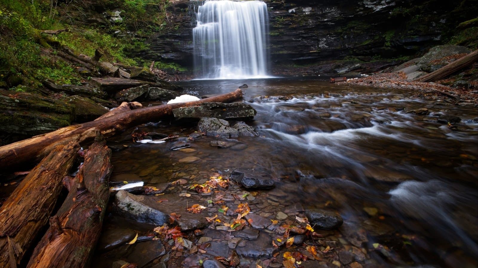 A waterfall dropping over a mossy rock ledge into a leaf-strewn stream at Ricketts Glen State Park in autumn.