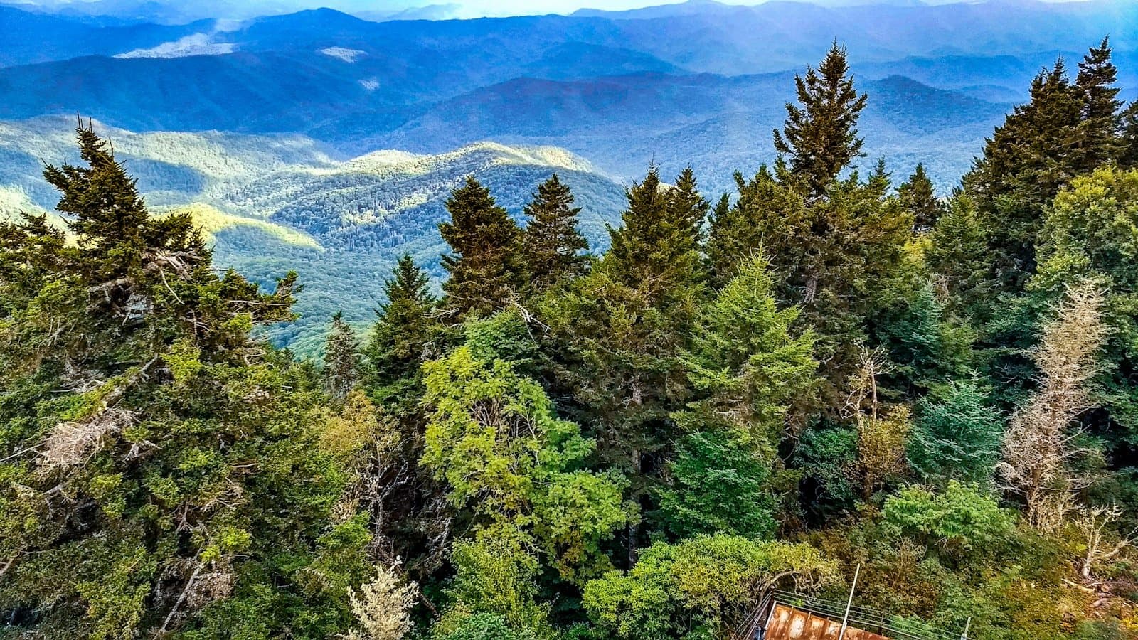 An elevated overlook of the Great Smoky Mountains showing layered blue-green ridgelines fading into the distance.