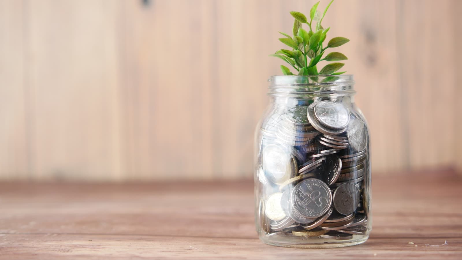 A glass jar full of coins with a small plant growing out of it